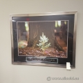 Motivational Poster Framed Wall Artwork "Determination"